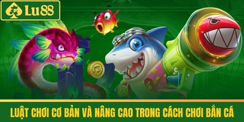 Cách Chơi Bắn Cá - Săn Thưởng Khủng, Đổi Đời Nhanh Chóng 4 Luật chơi cơ bản và nâng cao trong cách chơi Bắn Cá