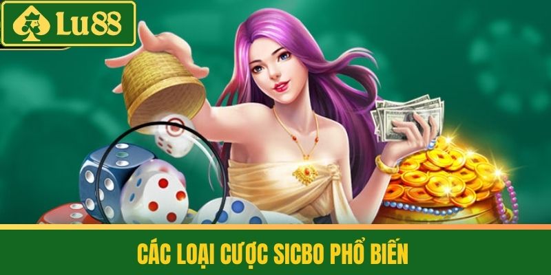 Sicbo - Trò Chơi Đầy Kịch Tính Và Chiến Thuật Trong Casino 4 Các loại cược Sicbo phổ biến