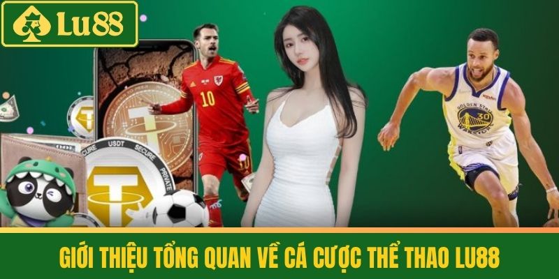 Thể Thao 1 Giới thiệu tổng quan về cá cược Thể thao LU88